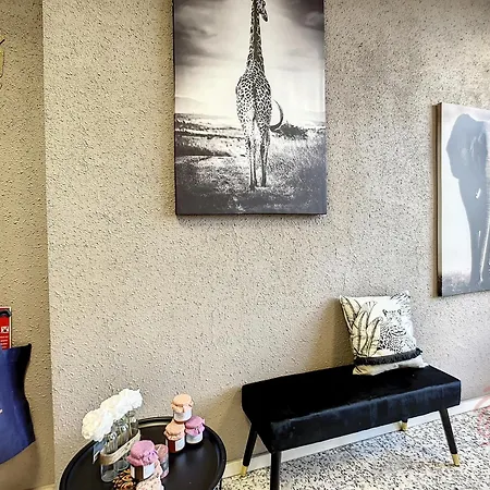 Apartment T2 Avec Wi-fi, Ascenseur, Proche Thermes Et Centre-ville, Ideal Pour Curistes, Animaux Acceptes - Fr-1-451-178